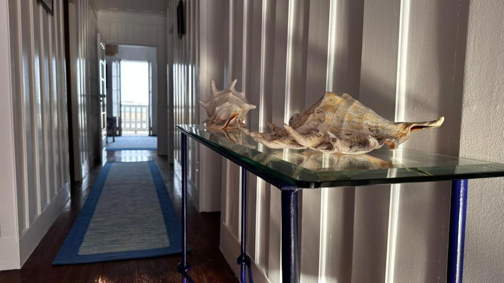 Palheiro Da Ana Apartment Costa Nova Luaran gambar